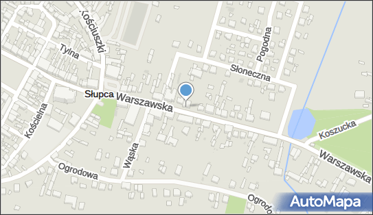 Przedsiębiorstwo Handlowo Usługowe Darjan, Warszawska 37, Słupca 62-400 - Przedsiębiorstwo, Firma, NIP: 6671001627