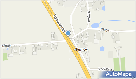 Przedsiębiorstwo Handlowo-Usługowe Dorota Fiszer, Głuchów N/N 95-080 - Przedsiębiorstwo, Firma, NIP: 7711441587