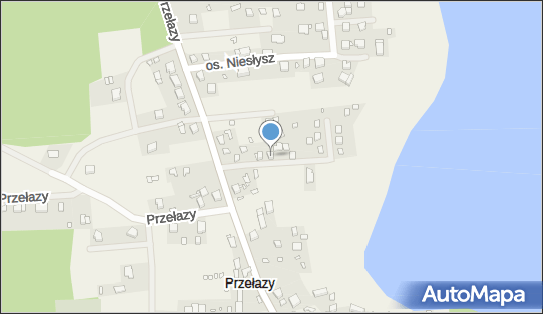 Przedsiębiorstwo Handlowo Usługowe Eurogon, os. Niesłysz 31C 66-218 - Przedsiębiorstwo, Firma, NIP: 9271841727