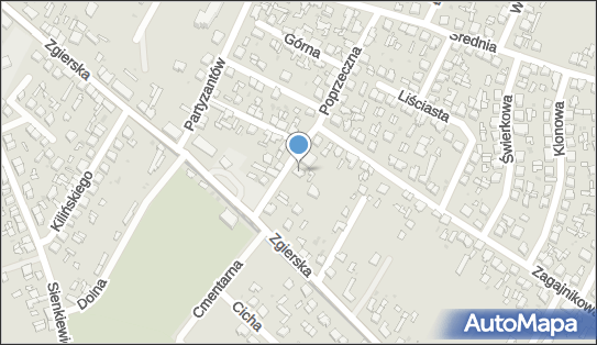 Przedsiębiorstwo Handlowo - Usługowe Gabryel Karolak, Ozorków 95-035 - Przedsiębiorstwo, Firma, NIP: 7321361538