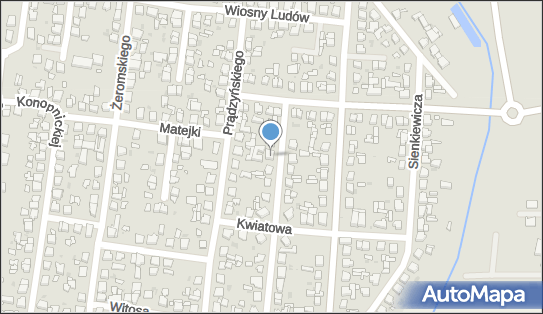 Przedsiębiorstwo Handlowo Usługowe Góralski, Kostrzyn 62-025 - Przedsiębiorstwo, Firma, NIP: 7861145904