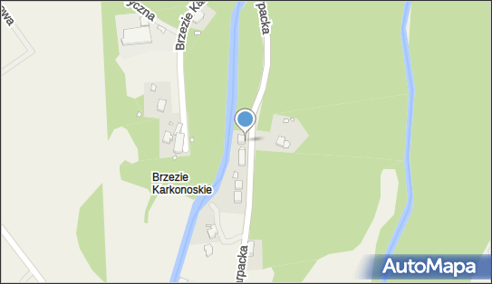 Przedsiębiorstwo Handlowo- Usługowe Import- Eksport Bugajska Alicja 58-535 - Przedsiębiorstwo, Firma, NIP: 6111081430