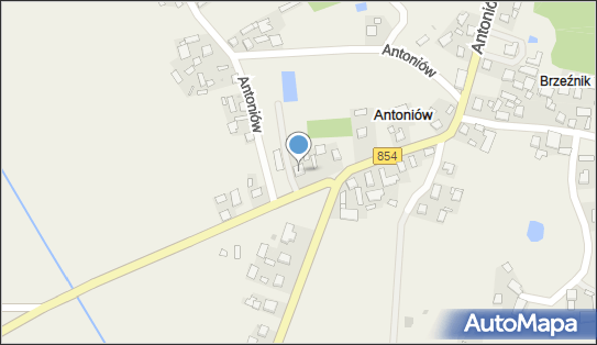 Przedsiębiorstwo Handlowo - Usługowe Irena Bałdos, Antoniów 114 37-455 - Przedsiębiorstwo, Firma, NIP: 8651277089