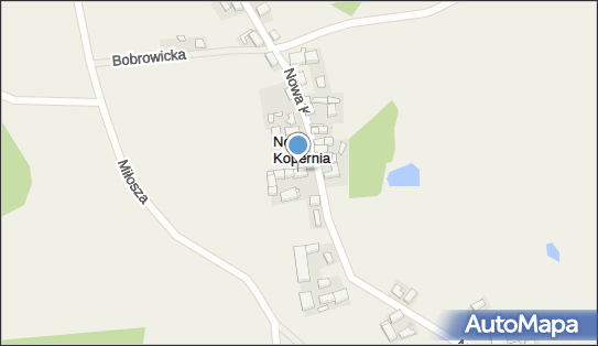 9241623374, Przedsiębiorstwo Handlowo Usługowe Iwona Piotrowska 