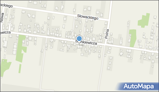 241963068, Przedsiębiorstwo Handlowo-Usługowe 