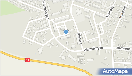 Przedsiębiorstwo Handlowo Usługowe Kak Pol, Mieszka I 11, Pleszew 63-300 - Przedsiębiorstwo, Firma, NIP: 6171522300
