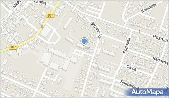 Przedsiębiorstwo Handlowo-Usługowe Karol Szymański, Pniewy 62-045 - Przedsiębiorstwo, Firma, NIP: 7871499696