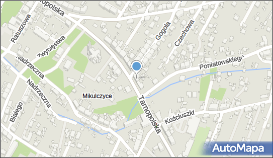 6481571020, Przedsiębiorstwo Handlowo Usługowe Kłosek Reniusz 