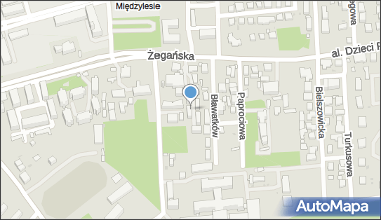 143233302, Przedsiębiorstwo Handlowo Usługowe Maciej Lesiński 