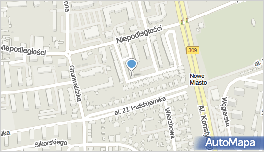 411525233, Przedsiębiorstwo Handlowo-Usługowe Magnetyzer Krzysztof Turlejski, Leszno 