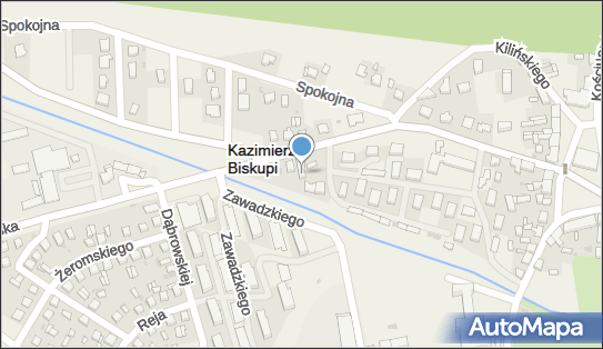 310139175, Przedsiębiorstwo Handlowo - Usługowe Majewski Henryk 