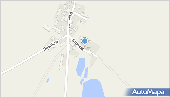 Przedsiębiorstwo Handlowo Usługowe Mireks, Dobieszewo 6 76-248 - Przedsiębiorstwo, Firma, NIP: 8391416498