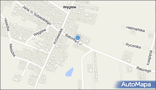 Przedsiębiorstwo Handlowo Usługowe Mustang, Węglew N/N, Węglew 62-591 - Przedsiębiorstwo, Firma, NIP: 6651556150