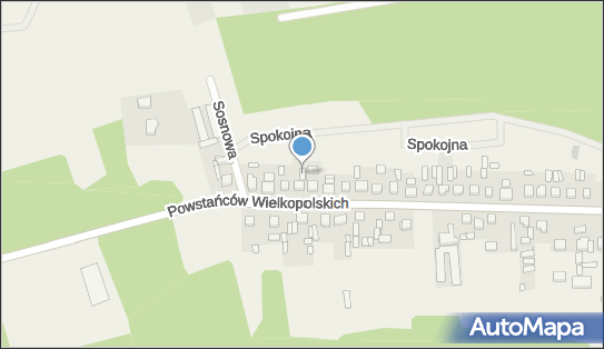 Przedsiębiorstwo Handlowo Usługowe Opony, Nowa Wieś 64-234 - Przedsiębiorstwo, Firma, NIP: 9231522105