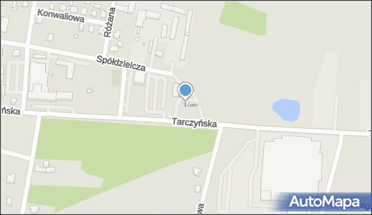8381425811, Przedsiębiorstwo Handlowo - Usługowe 