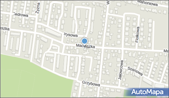 9532324239, Przedsiębiorstwo Handlowo - Usługowe 