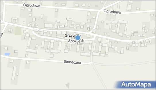 Przedsiębiorstwo Handlowo - Usługowe Rojan Roman Ścibor - Rylski 59-216 - Przedsiębiorstwo, Firma, NIP: 6910005523
