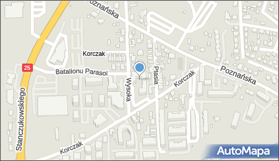 Przedsiębiorstwo Handlowo-Usługowe Sitka, ul. Wysoka 7, Kalisz 62-800 - Przedsiębiorstwo, Firma, NIP: 6181802389