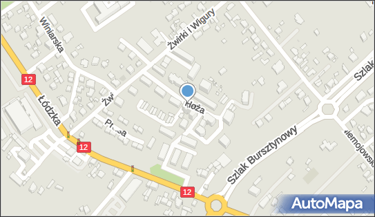 Przedsiębiorstwo Handlowo-Usługowe Sławomir Gorzycki, Hoża 7/33 62-800 - Przedsiębiorstwo, Firma, numer telefonu