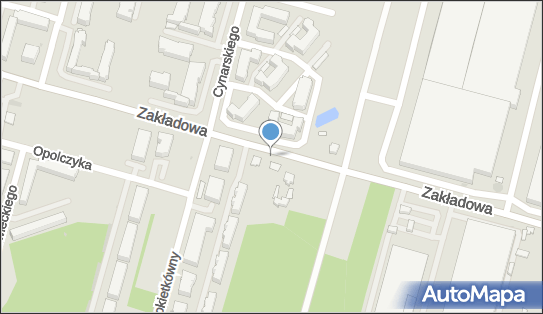 Przedsiębiorstwo Handlowo Usługowe Sowa Trans, Zakładowa 89 92-402 - Przedsiębiorstwo, Firma, NIP: 7321489681