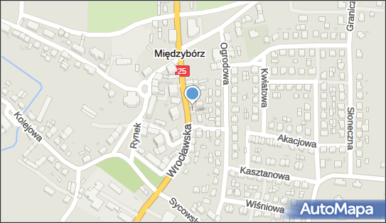 6191750151, Przedsiębiorstwo Handlowo-Usługowe, Usł.Transportowo-Towarowe - A.Otremba 