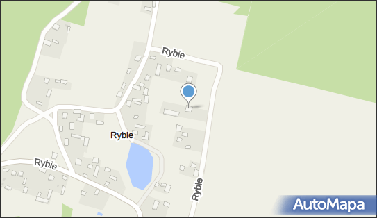 Przedsiębiorstwo Handlowo Usługowe Zbig Dor, Rybie 39, Rybie 22-360 - Przedsiębiorstwo, Firma, NIP: 5641003294