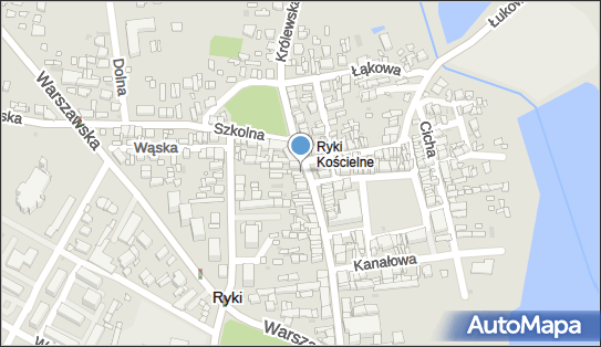 Przedsiębiorstwo Handlowo Usługowe, Ryki 08-500 - Przedsiębiorstwo, Firma, NIP: 7161007838