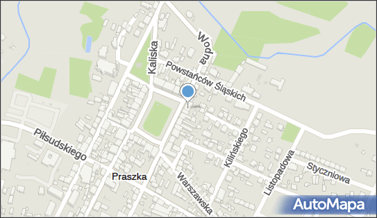 Przedsiębiorstwo Handlowo Usługowe, pl. Grunwaldzki 6, Praszka 46-320 - Przedsiębiorstwo, Firma, numer telefonu, NIP: 5761353476
