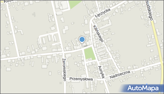 Przedsiębiorstwo Handlowo Usługowe, pl. Adama Mickiewicza 5 62-660 - Przedsiębiorstwo, Firma, numer telefonu, NIP: 6661758429