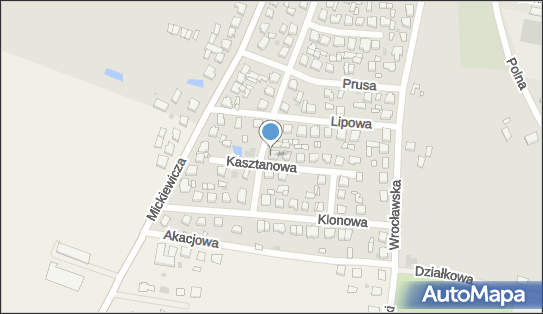 Przedsiębiorstwo Handlowo Usługowe, Kasztanowa 7, Jutrosin 63-930 - Przedsiębiorstwo, Firma, NIP: 6991545547