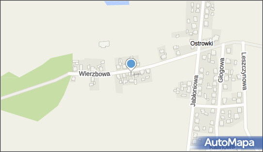 Przedsiębiorstwo Handlowo Usługowe, ul. Wierzbowa 17, Orzechowo 62-322 - Przedsiębiorstwo, Firma, NIP: 7891462182