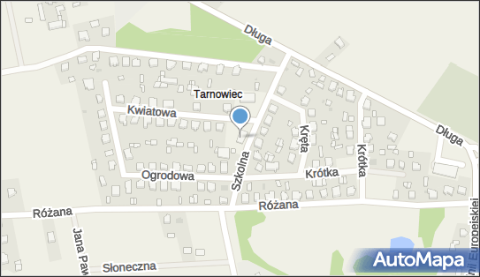 Przedsiębiorstwo Handlowo Usługowe, Szkolna 6, Kościelec 62-604 - Przedsiębiorstwo, Firma, numer telefonu, NIP: 6660002675