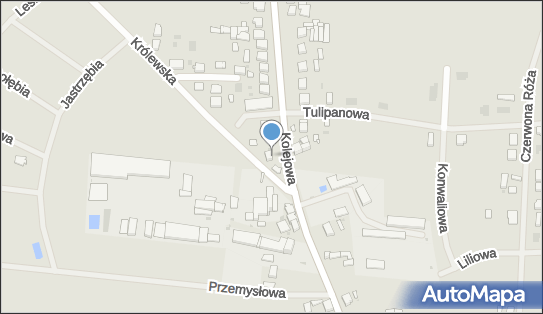 Przedsiębiorstwo Handlowo Usługowo Produkcyjne Paweł Matuszewski Damian Biernacki 63-740 - Przedsiębiorstwo, Firma, numer telefonu, NIP: 6211667098