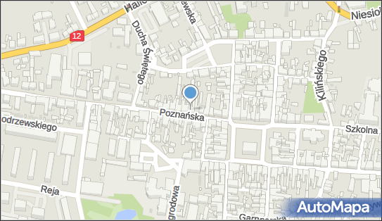 Przedsiębiorstwo Handlowo Usługowo Wytwórcze Azalia Maciej Narkun Ryszard Łokietek 63-300 - Przedsiębiorstwo, Firma, NIP: 6171979005