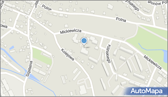 291199131, Przedsiębiorstwo Informatyczno-Konsultingowe 