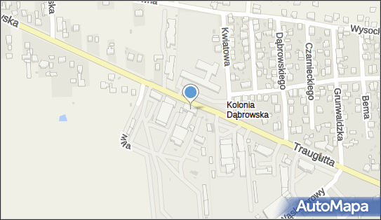 8321948818, Przedsiębiorstwo Komunikacji Samochodowej Wieluń sp. z o.o. 