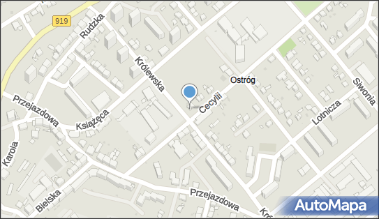Przedsiębiorstwo Marketingowo Usługowo Handlowe Spoko, Cecylii 12 47-400 - Przedsiębiorstwo, Firma, NIP: 6391195518