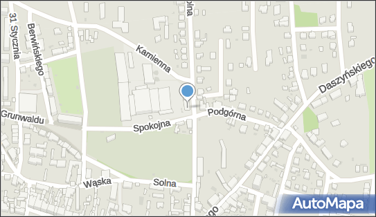 Przedsiębiorstwo Nasienno Zaopatrzeniowe Wójcik, Spokojna 1 67-400 - Przedsiębiorstwo, Firma, numer telefonu, NIP: 9251850746