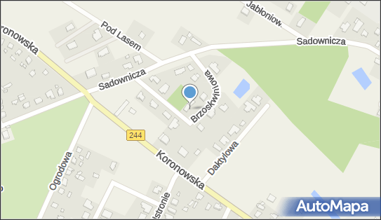 Przedsiębiorstwo P H U Darpol, ul. Brzoskwiniowa 7, Żołędowo 86-031 - Przedsiębiorstwo, Firma, NIP: 5541591506