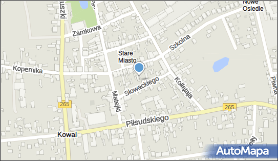 Przedsiębiorstwo Produkc Handl Usł Alpix, ul. Słowackiego 9 87-820 - Przedsiębiorstwo, Firma, NIP: 8880008586