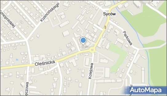 Przedsiębiorstwo Produkcyjno-Handlow0-Usługowe Puszman- Meble Magdalena Puszman-Kornak 56-500 - Przedsiębiorstwo, Firma, NIP: 6191309897
