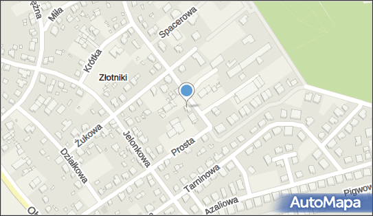Przedsiębiorstwo Produkcyjno Handlowe i Usługowe Printex Co LTD 62-002 - Przedsiębiorstwo, Firma, NIP: 7810063220