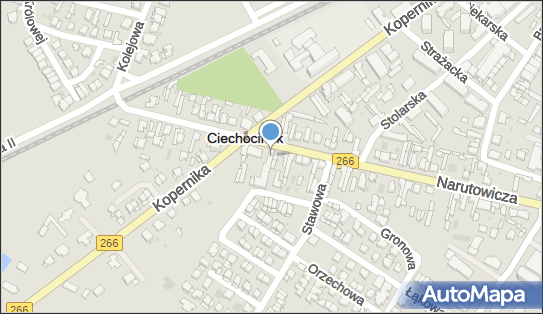 Przedsiębiorstwo Produkcyjno Handlowe Smakosz, Ciechocinek 87-720 - Przedsiębiorstwo, Firma, NIP: 9561065444