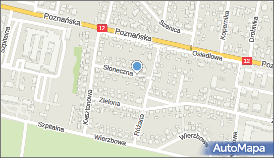 Przedsiębiorstwo Produkcyjno Handlowe Vega, Słoneczna 3, Pleszew 63-300 - Przedsiębiorstwo, Firma, NIP: 6171000820