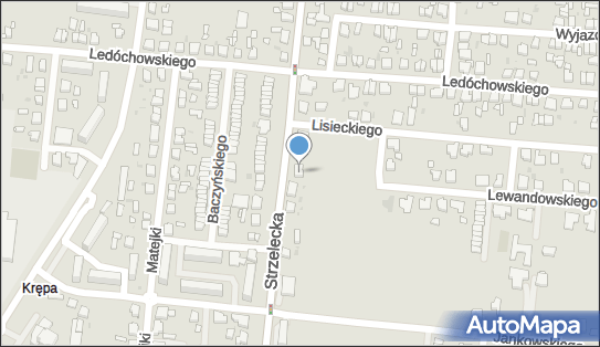 Przedsiębiorstwo Produkcyjno Handlowe, Strzelecka 21a 63-400 - Przedsiębiorstwo, Firma, NIP: 6221708663