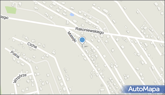 9691101747, Przedsiębiorstwo Produkcyjno Handlowo Usługowe 