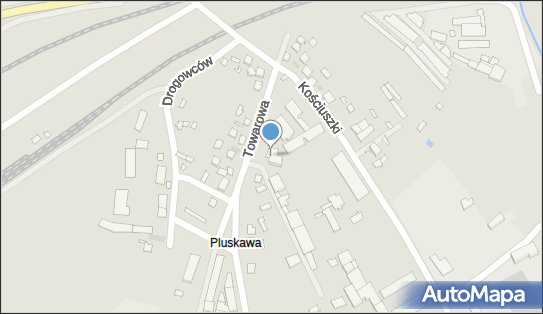 Przedsiębiorstwo Produkcyjno Handlowo Usługowe Codo Tom Versteijlen 28-200 - Przedsiębiorstwo, Firma, NIP: 7010508169