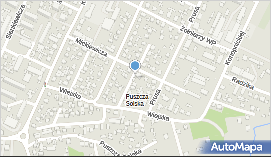 Przedsiębiorstwo Produkcyjno - Handlowo - Usługowe Intex Sebastian Głowala 23-400 - Przedsiębiorstwo, Firma, NIP: 9181053340