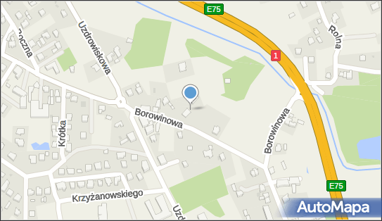 Przedsiębiorstwo Produkcyjno Handlowo Usługowe, ul. Borowinowa 7A 43-230 - Przedsiębiorstwo, Firma, NIP: 6381215946