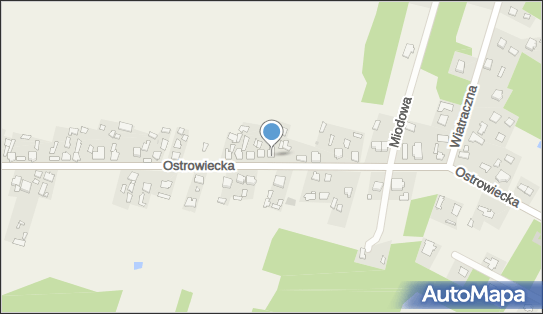 290382761, Przedsiębiorstwo Handlowe Wacław Lewandowski 